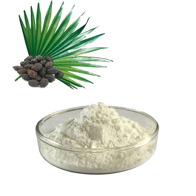 Saw Palmetto Extract คืออะไร? และประโยชน์ของ Saw Palmetto Extract คืออะไร?